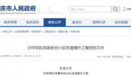 重庆最新爆料消息,揭秘神秘事件背后的真相